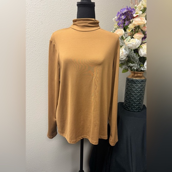 Susan Graver Dark Tan Turtleneck Long Sleeve Fall Blouse size Large - Picture 1 of 8